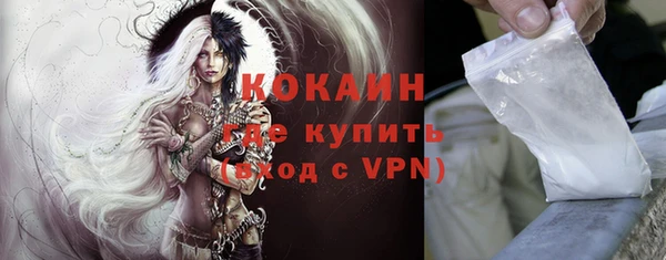 дживик Новодвинск