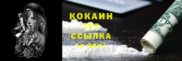 прущая мука Няндома