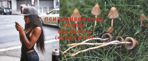 дживик Новодвинск