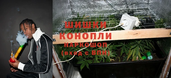 прущий лед Новозыбков