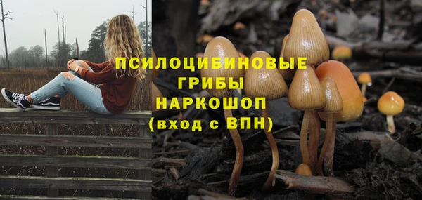 дживик Новодвинск