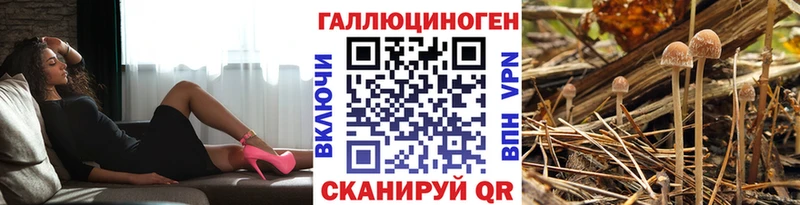 Псилоцибиновые грибы Psilocybine cubensis  Аткарск 